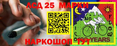 apvp Гатчина