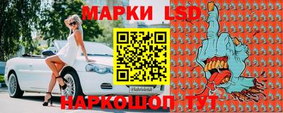 apvp Гатчина