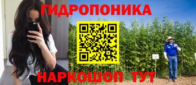 метадон Гай
