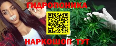 apvp Гатчина