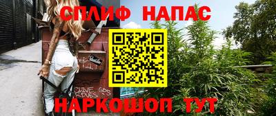 метадон Гай