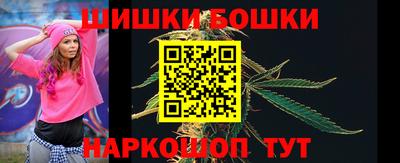 apvp Гатчина