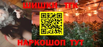 apvp Гатчина