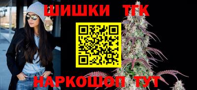 apvp Гатчина