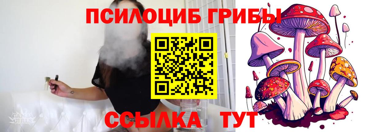 Псилоцибиновые грибы Psilocybine cubensis  Вход с VPN  Сергиев Посад 